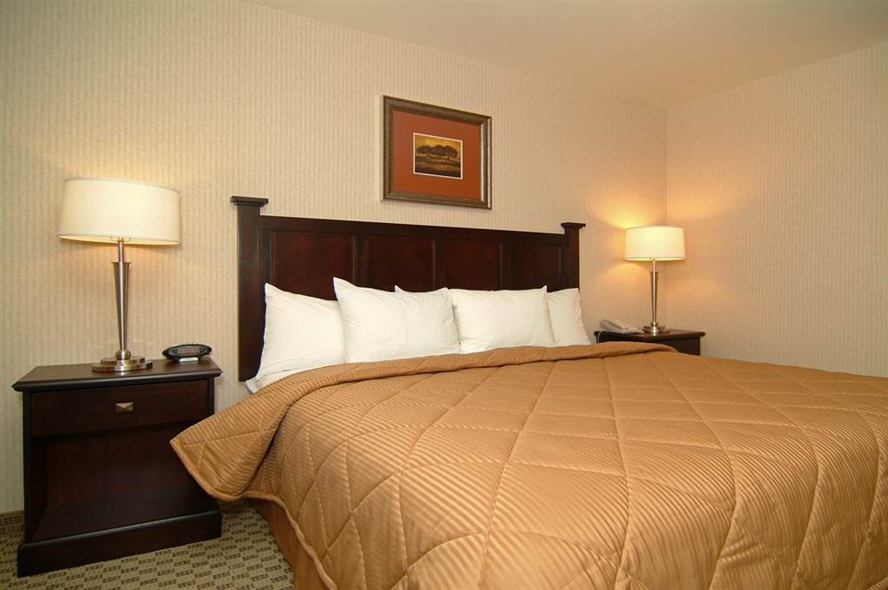 Comfort Inn & Suites Henderson - Las Vegas Extérieur photo